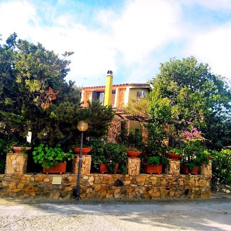 Villa Milena Villasimius, Wifi Gratuito, Ampio Giardino A 300 M Dal Mare Zewnętrze zdjęcie