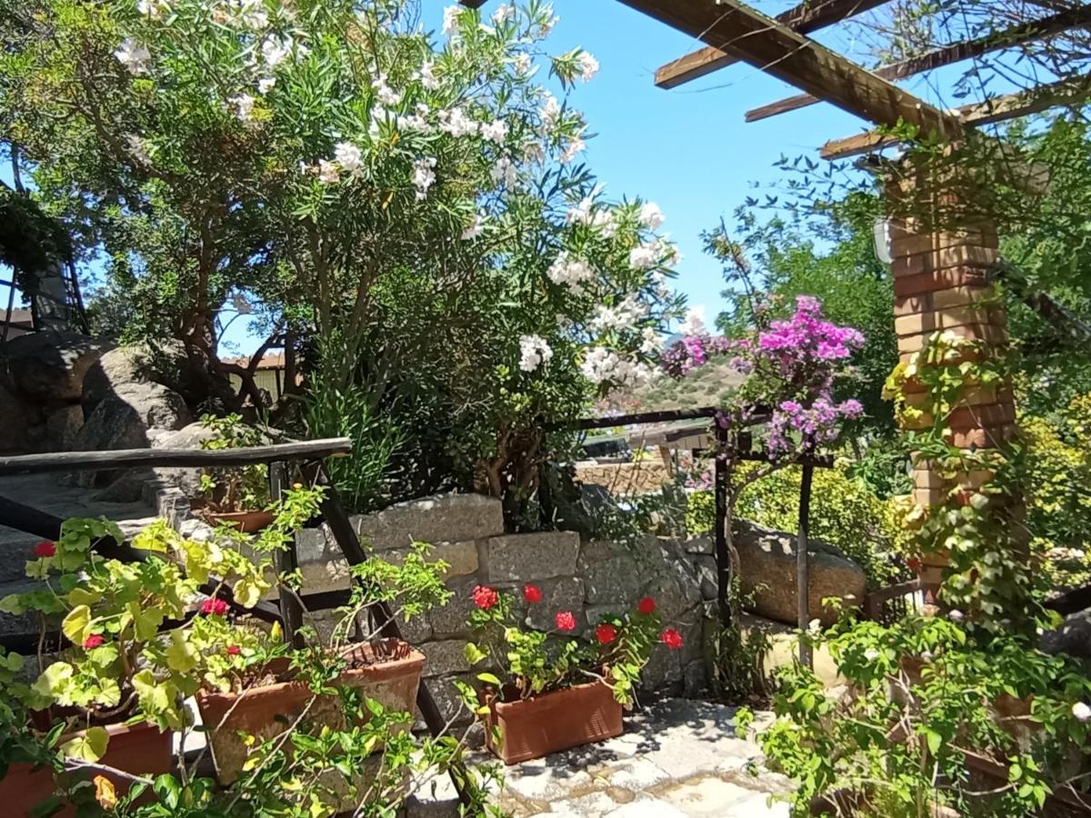 Villa Milena Villasimius, Wifi Gratuito, Ampio Giardino A 300 M Dal Mare Zewnętrze zdjęcie